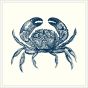 Crab in Blue with White Frame