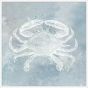 Costal Crab on Canvas