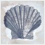 Costal Sea Shell on Canvas