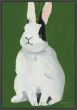 Sweet Bunny on Canvas