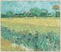 Field with Irises near Arles on Canvas by Vincent Van Gogh, 1888
