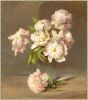 Peonies in a Vase on Canvas