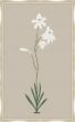 Long Flower on Taupe Linen I