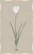 Long Flower on Taupe Linen I