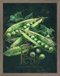 Seed Packet Peas