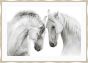 2 White Horses