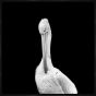White Pelican in the Dark Petite
