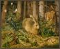 Rabbit in the Forrest