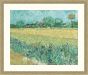 Field with Irises near Arles by Vincent Van Gogh, 1888