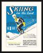 Ski Poster II
