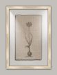 Floral Stems on Linen with Writing IV