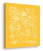 Floral Impression in Daffodil III (canvas)