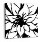 Bloomy Burst Black & White II (canvas)
