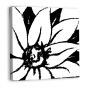 Bloomy Burst Black & White III (canvas)